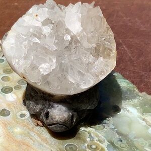QUARTZ CRYSTAL CLUSTER HAND CARVED TURTLE